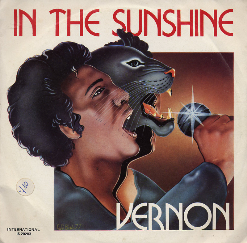 Vernon - In The Sunshine