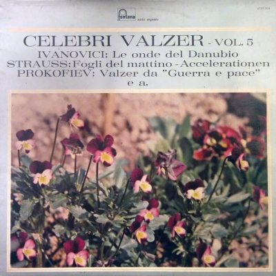 Celebri Valzer - Vol. 5
