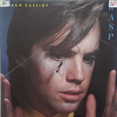 Shaun Cassidy - Wasp
