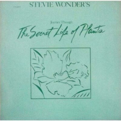 Stevie Wonder - Journey through the secret life of plants (2 LP)